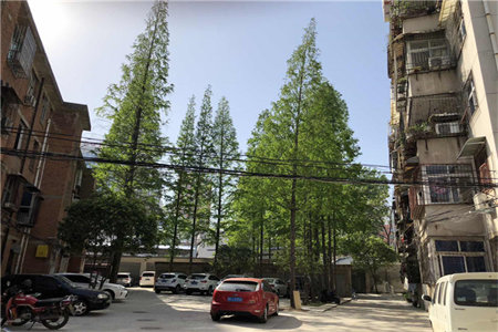 阿卡迪亚，南北通透户型单价6000出头，周边配套齐全